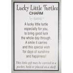 Ganz Lucky Little Turtle Charm with Story Card New Pocket Token - BJNHO17E2