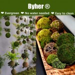 Byher Natural Green Moss Decorative Ball,Handmade 2.8-Set of 6 - BQ61B7U1C