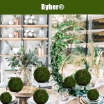 Byher Natural Green Moss Decorative Ball,Handmade 2.8-Set of 6 - BQ61B7U1C
