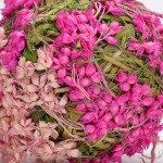 Byher Natural Preserved Moss Hanging Ball Vase Bowl Filler for Garden Wedding Party Decoration 3.56 Pack Pink - BHHL03U3O