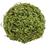 IMIKEYA Moss Ball Natural Decorative Green Globes Hanging Balls Vase Bowl Filler Art Flower Ornament for Home Party Weddings Display Decor Props 8cm - B3THW59JF