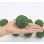 Nice purchase Handmade Natural Green Plant Moss Balls Decorative for Home Party Display Decor Props 2 in - BRUSBTHVK