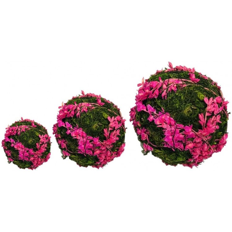 zorpia Natural Pink Moss Decorative Ball,Handmade 2-Set of 12 - BD1NA3NCN