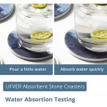 LIFVER Absorbent Drink Coasters with Holder Set of 6 Abstract Style Ceramic Coasters Set with Cork Base for Kinds of Drinking Glasses 4 Inch Stone Coasters for Home Decor Great Housewarming Gift - BNKFQHMBD