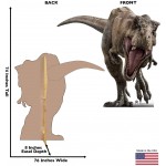 Advanced Graphics T-Rex Life Size Cardboard Cutout Standup Jurassic World 2015 Film - BZ5O6WHZ0