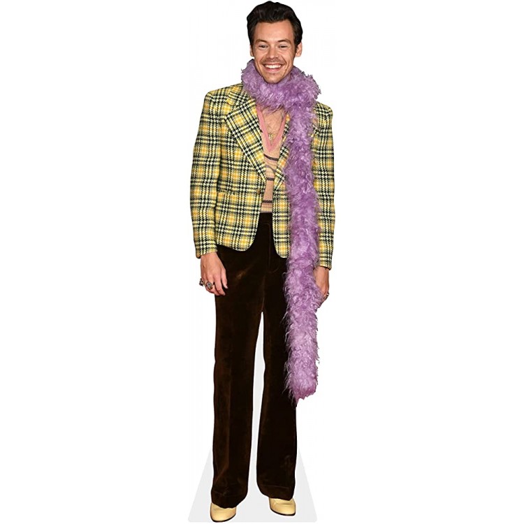 Novelty Native Harry Styles Life Size Standup Cardboard Cutout Standee 2021 Edition - BZW0H9LMJ