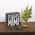 Primitives by Kathy 25163 Lattice Trimmed Box Sign 5 x 5-Inches Best Moms Get Promoted - B11QXBPR4