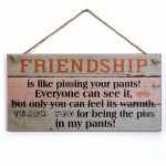 Yankario Funny Friendship Gifts for Women Friends Birthday Gifts for Best Friends Unique Gifts for Her Wall Art Decor Wooden Sign 12 by 6 - B6GLRI1DW