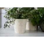 Euro Ceramica Chloe Collection Elegant 7.5 Decorative Ceramic Pitcher 2LT Floral Design Beige - BU4VQO1D0