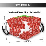3PCS Christmas Face Mask Washable Reusable Christmas Snowflake Decorative Mask with 6 Filters for Women Men - BW8LP3RYG