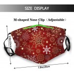 Christmas Snowflake Cloth Face Mask Fashion Christmas Decorative Masks Washable with 2Filters - BPHQ25JDL
